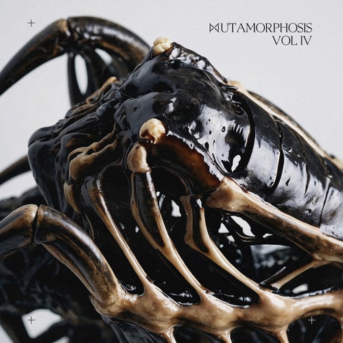 MUTAMORPHOSIS, Pt. 4