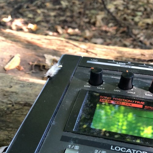 FLOW STATE [ beat tape ]