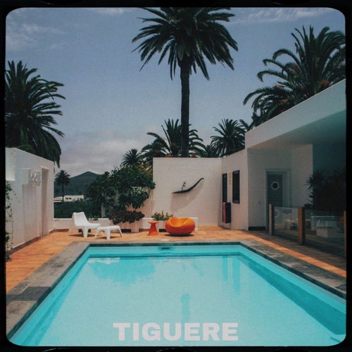Tiguere
