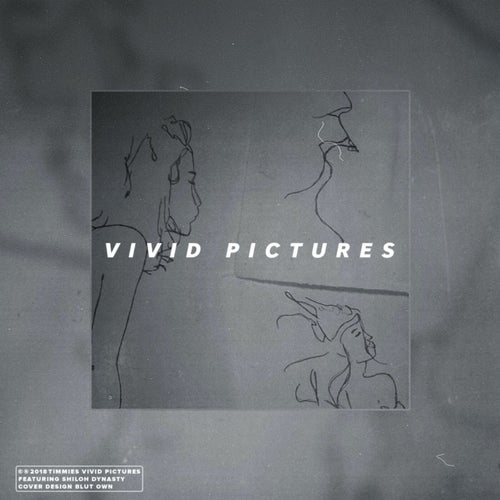 Vivid Pictures