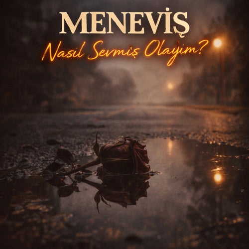 Nasıl Sevmiş Olayım?