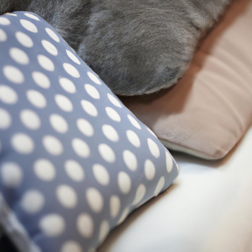Sofa Cushion