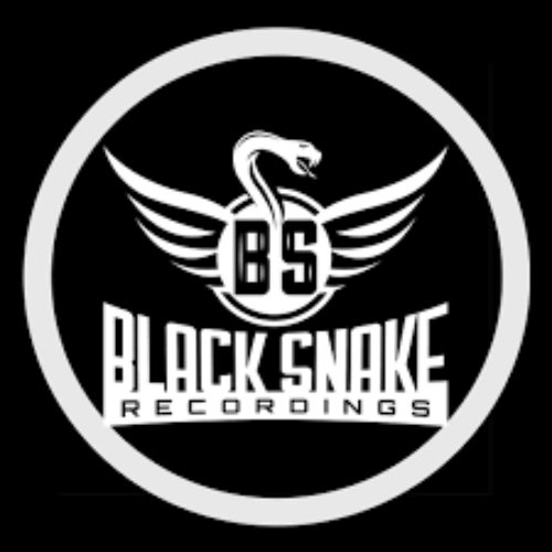 Black Snake Recordings Profile
