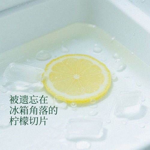 被遺忘在冰箱角落的檸檬切片