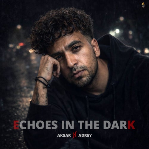 Echoes In The Dark