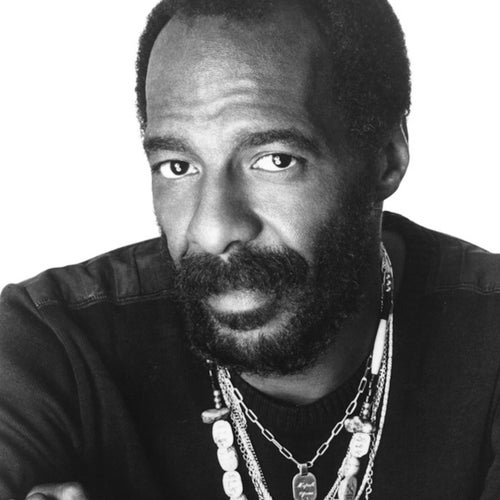 Richie Havens Profile