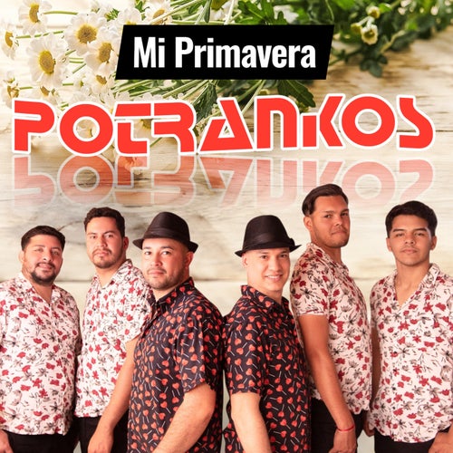 MI PRIMAVERA