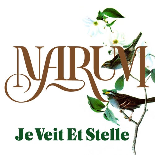 Je veit et stelle