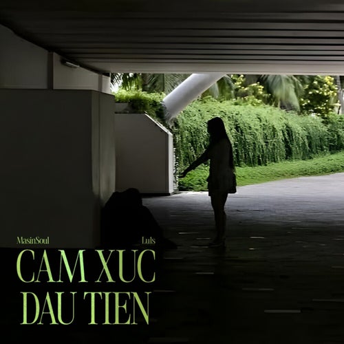 Cam Xuc Dau Tien