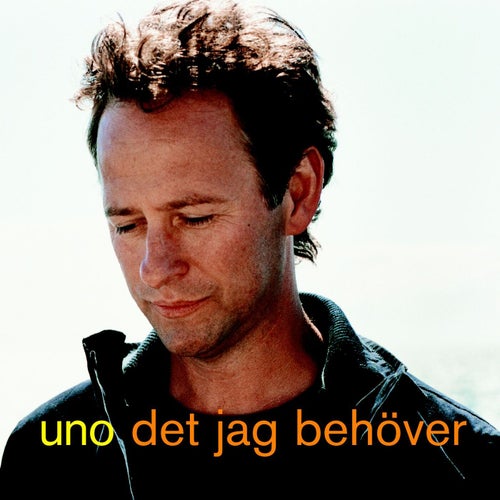 Det jag behöver