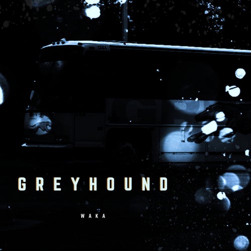 Greyhound