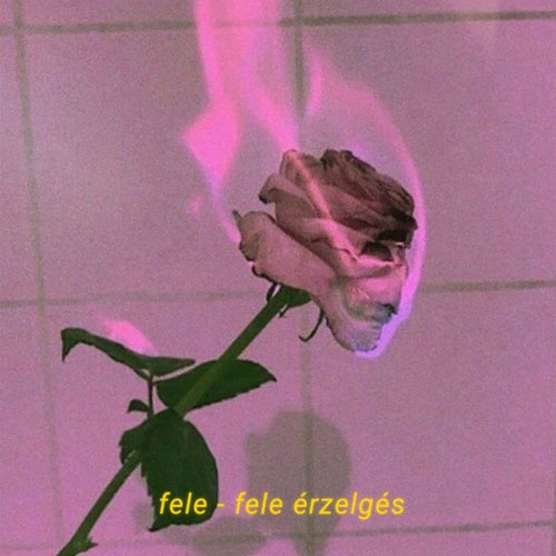 Fele-fele Érzelgés