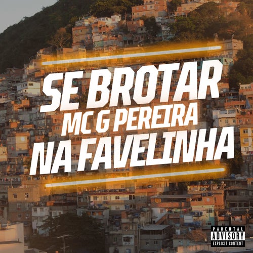 Se Brotar Na Favelinha