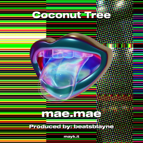 Coconut Tree