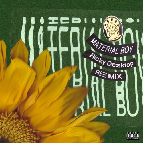 Material Boy (Ricky Desktop Remix)