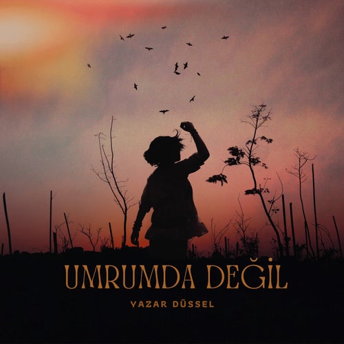Umrumda Değil