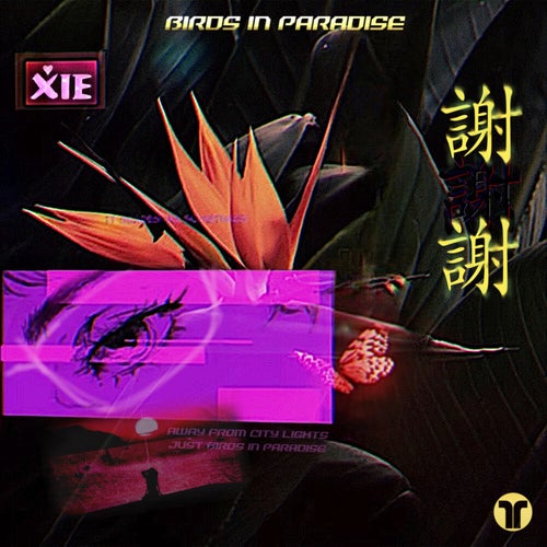 Birds In Paradise (Extended Mix)