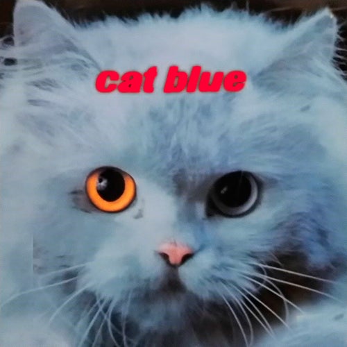 Cat Blue