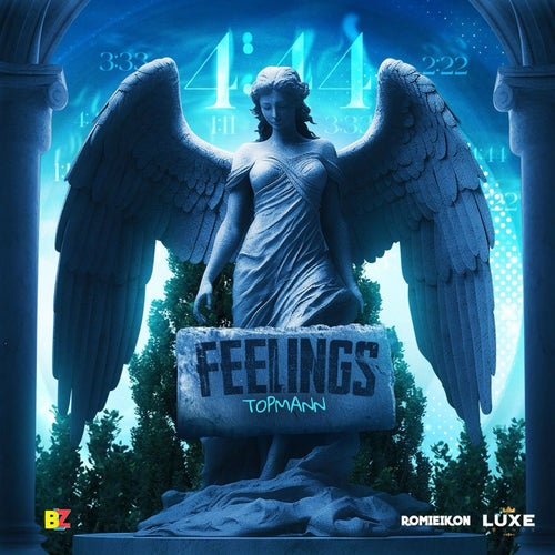 Feelings