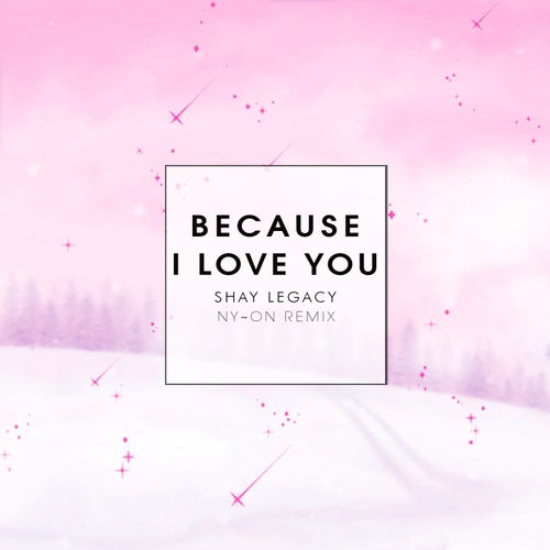 Because I Love You (NY~ON Remix)