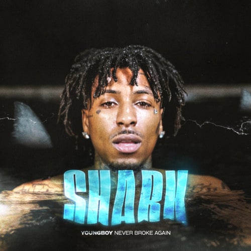 Shark