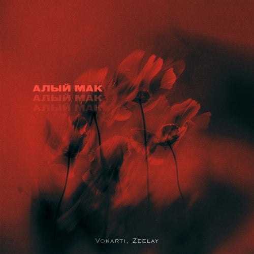 Алый мак