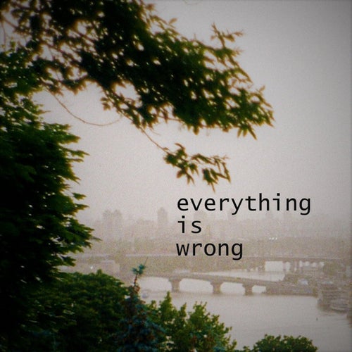 everything is wrong