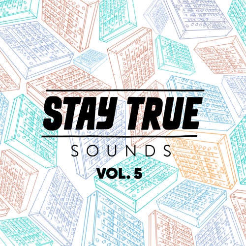 Stay True Sounds Vol. 5 (Ed-Ward Remix)