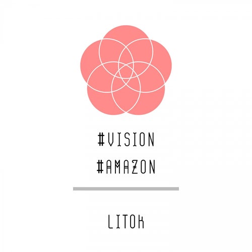 Vision-Amazon