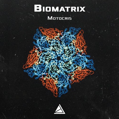 Release of the week