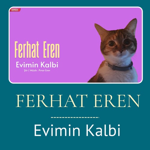 Evimin Kalbi