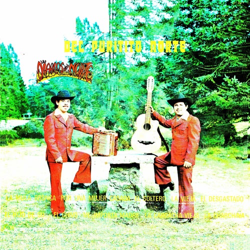 Del puritito norte
