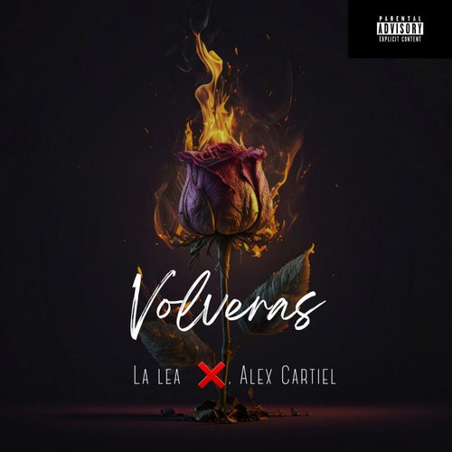 Volveras