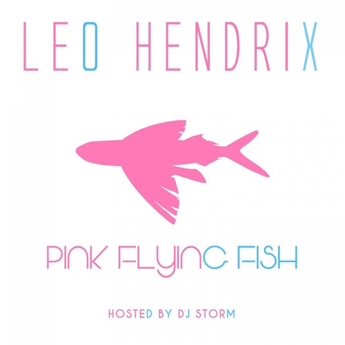 Pink Flying Fish