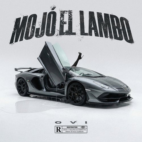 Mojó el Lambo