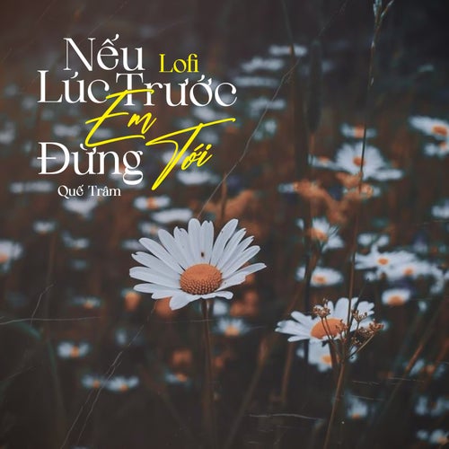 Nếu Lúc Trước Em Đừng Tới (Lofi Mix)