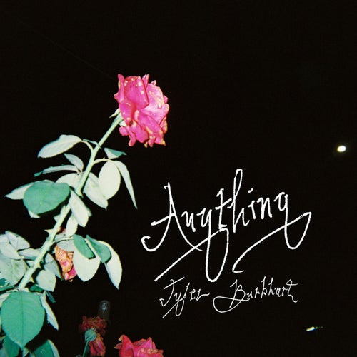 Anything