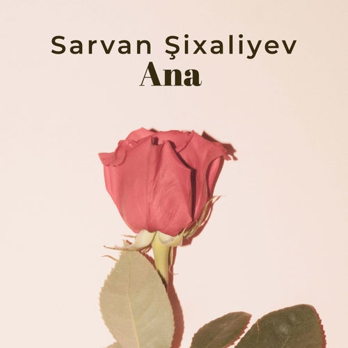 Ana