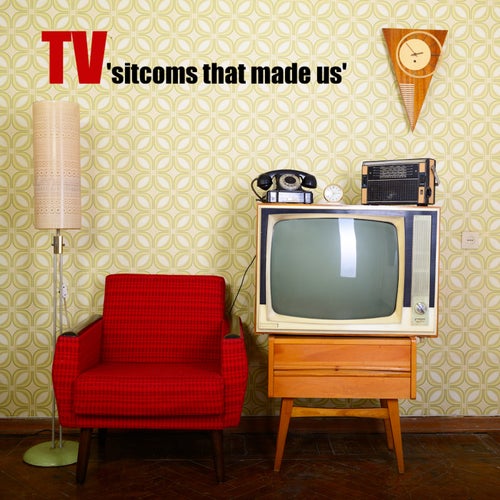 T.V. Sitcoms That Made Us