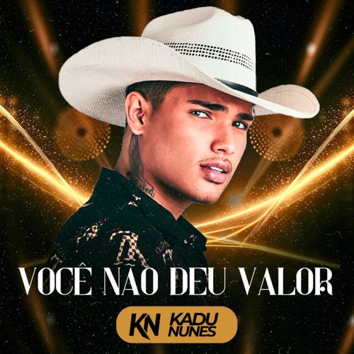 Você Não Deu Valor