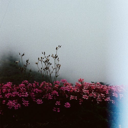 out of sight, on my mind