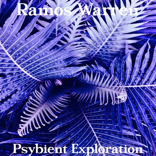 Psybient Exploration