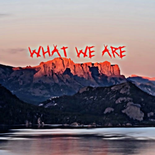 What We Are