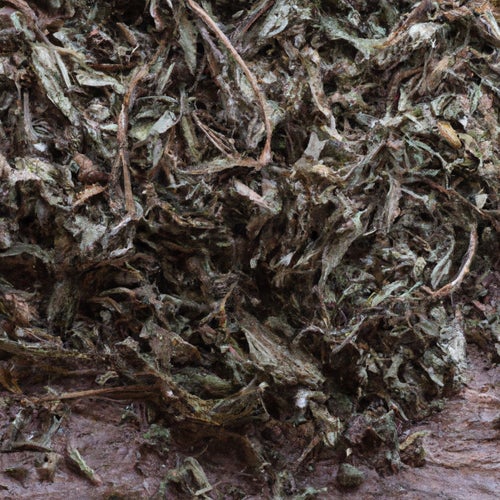 Yerba