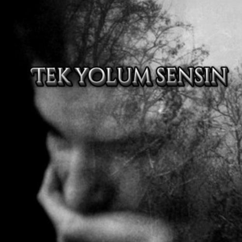TEK YOLUM SENSİN