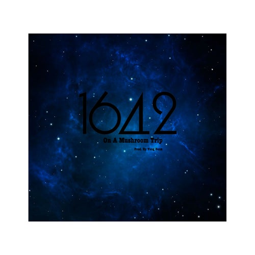 1642 On A Mushroom Trip