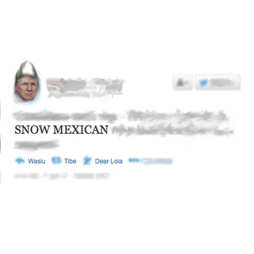 Snow Mexican