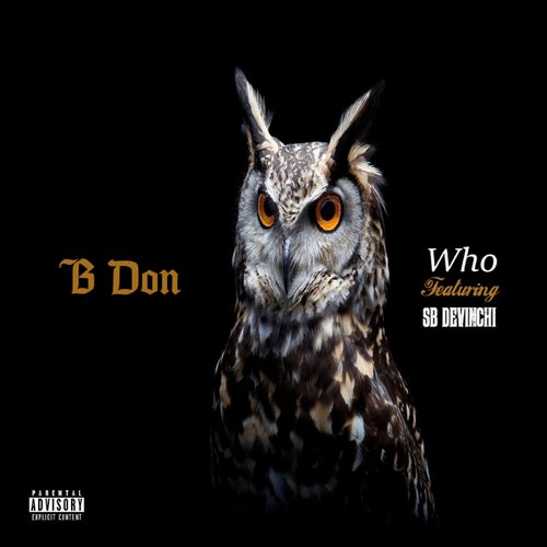 Who (feat. SB DeVinchi) [Remix]