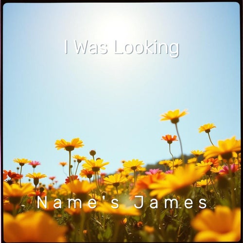 I Was Looking