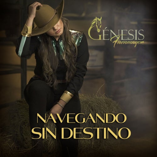 Navegando sin Destino